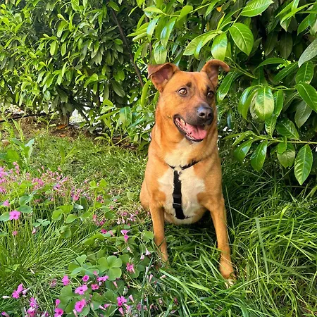 شقة Casa Anna - Piano T E Giardino مودينا